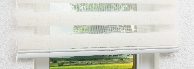 Doppelrollos