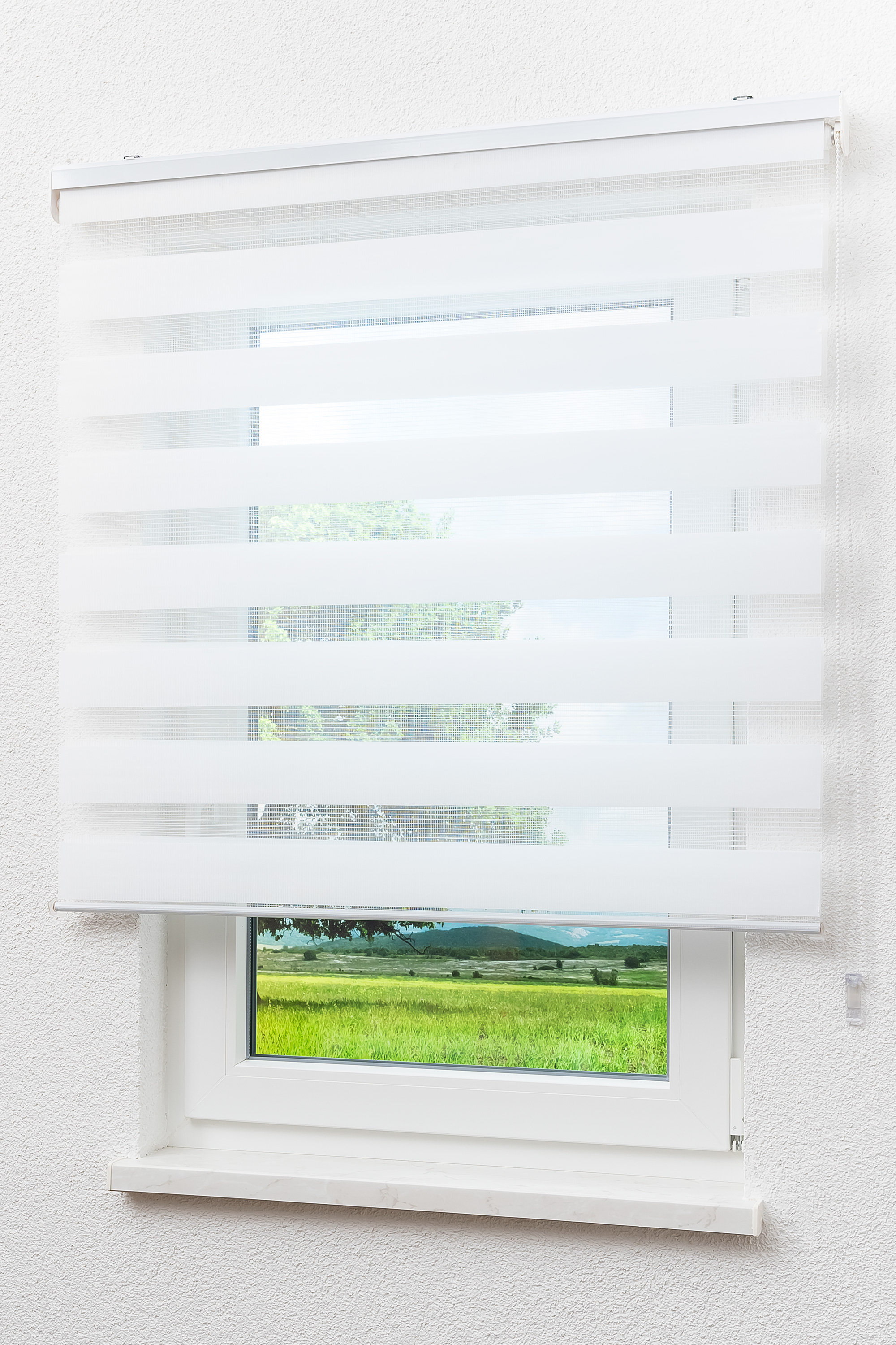 Duo Rollo Doppelrollo Solid mit Blende blickdicht Fenster Tür Lysel Outlet  | eBay