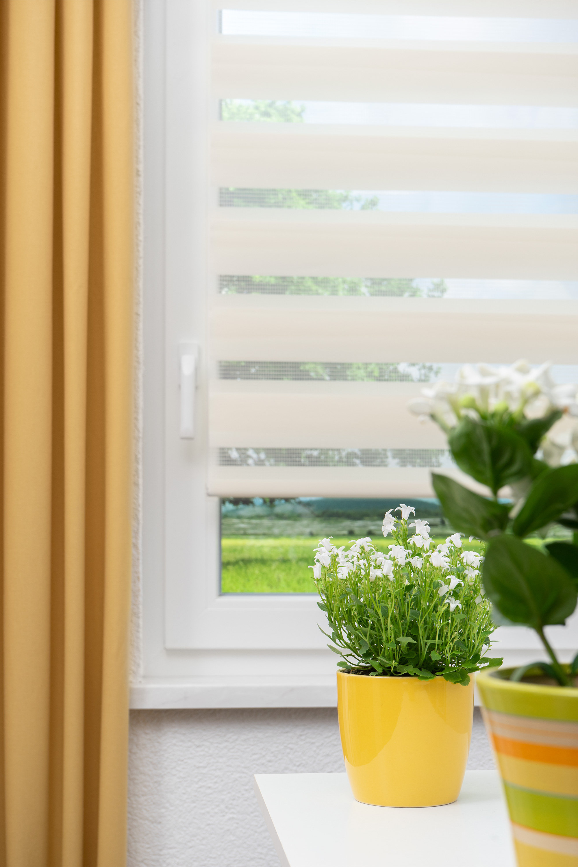 Duo Rollo Doppelrollo Solid mit Blende blickdicht Fenster