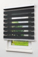 schwarz Vorschau Lysel Outlet - Doppelrollo mit Blende Schwarz #1W schwarz