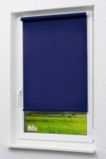 blau Vorschau Lysel Outlet - Mini Rollo Tageslicht Blau #1W blau