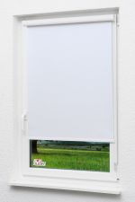 reinweiß Vorschau Lysel Outlet - Kassettenrollo abdunkelnd Reinweiß #1W reinweiß