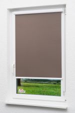 Schokobraun Vorschau Lysel Outlet - Kassettenrollo abdunkelnd Schokobraun #1W Schokobraun