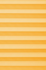 +