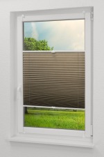 blassbraun Vorschau CleverFix Plissee Elfenbein #0B blassbraun