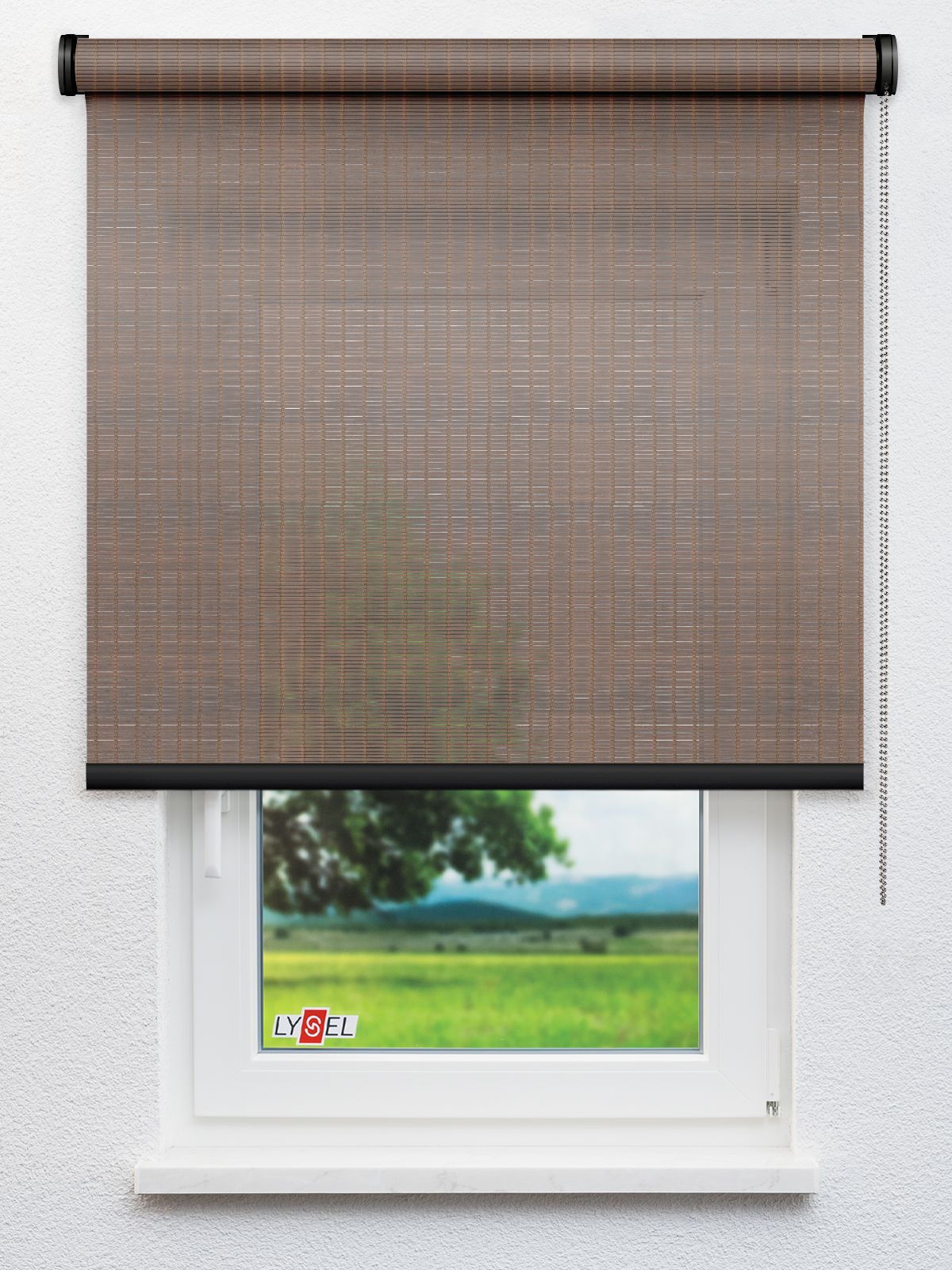 Detailansicht R5017