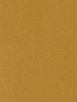 Stoff Flächenvorhang Guardo 5215