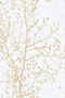 Morella 6217