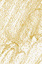 Morella 6336