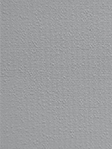  Stoff Beau 2265