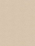 Lamelle Springfield 1061 Detailansicht