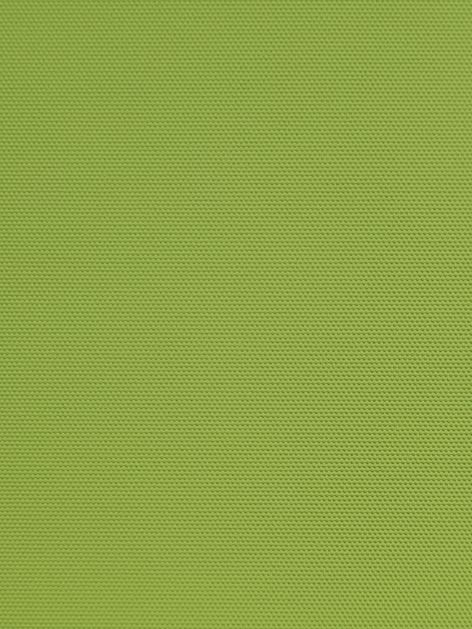 Detailansicht Hazel 0177