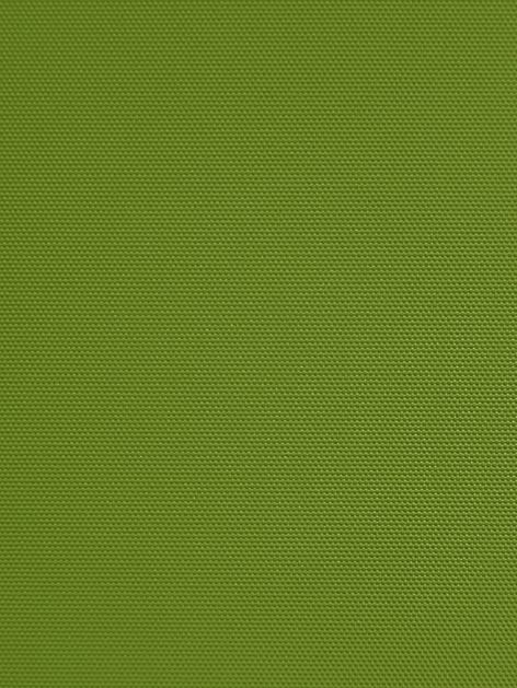 Detailansicht Hazel 0178