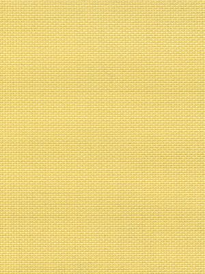 Detailansicht Bodensee 034416