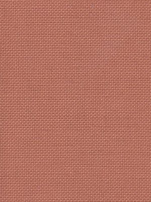 Detailansicht Bodensee 040516