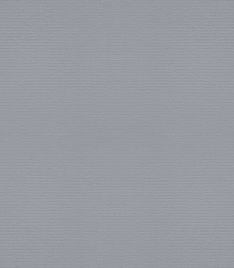 Preview Carlia 1216 1