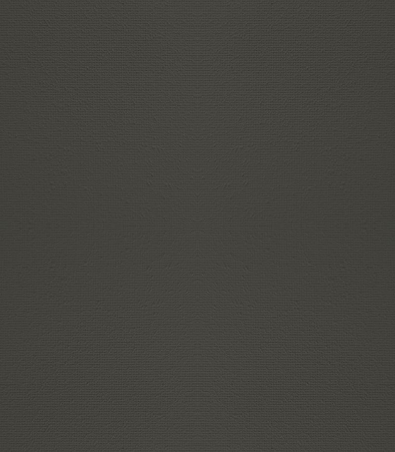 Preview Finis 1547 1