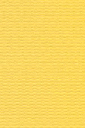 Lamelle Springfield 1005 Detailansicht