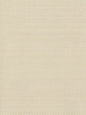 Bodensee 022416 Bodensee 022416