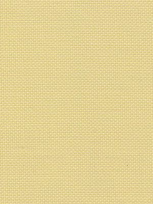 Bodensee 033416 Bodensee 033416