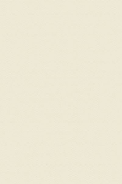 Lamelle Springfield 1128