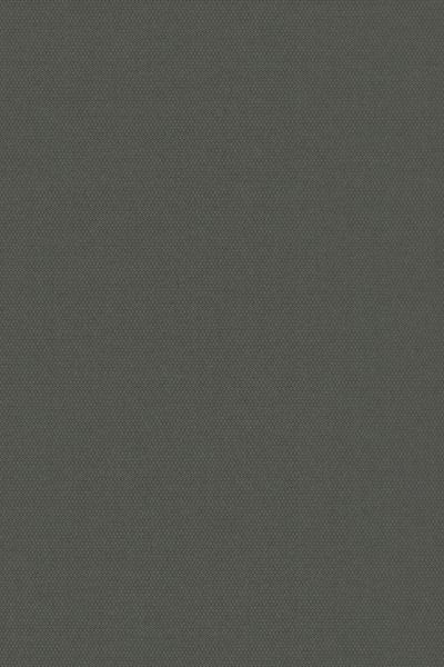 Lamelle Springfield 1131