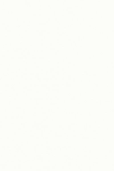 Lamelle Springfield Verdunkelung 1123