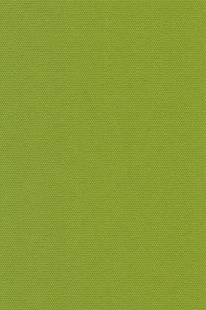 Lamelle Springfield 1059