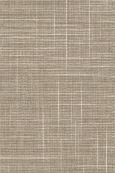 Lamelle Hailey 1140 Lamelle Hailey 1140