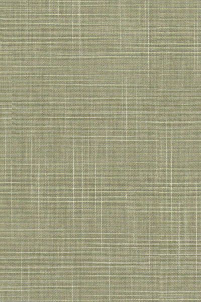 Lamelle Hailey 1141 Lamelle Hailey 1141