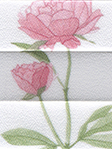 Plissee Flower Dream 3.885.58 Detailansicht