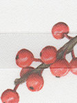 Plissee Suma Berry 2.186.47 Detailansicht