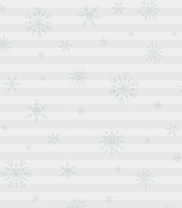 Detailansicht Plissee Snowflake 2.417.07