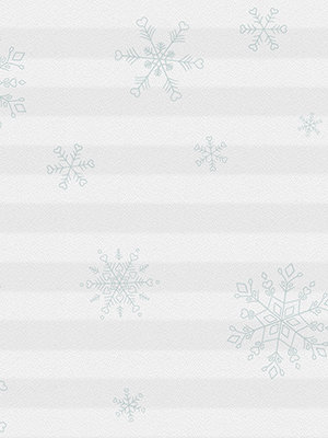 Preview Plissee Snowflake 2.417.07 4