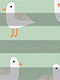 Plissee Funny Gulls 3.615.58