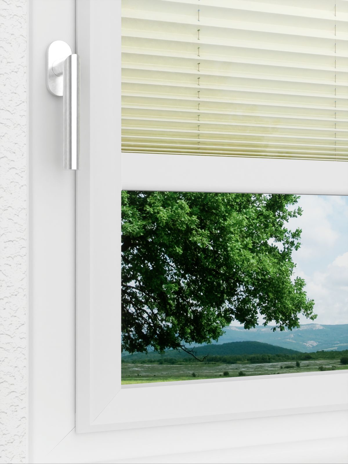 Detailansicht LYSEL HOME Plissee 207A Oliv Krepp