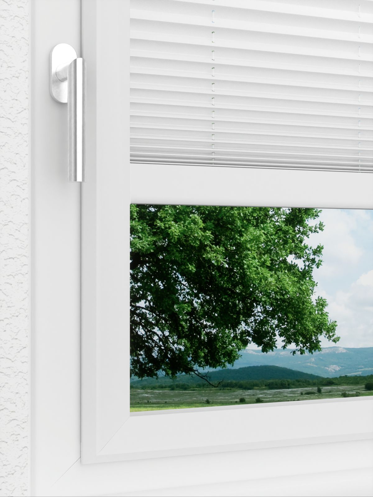 Detailansicht LYSEL HOME Plissee 205B Oliv Krepp