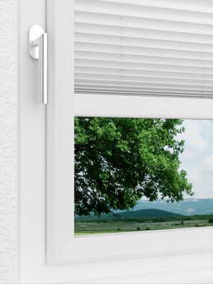 Preview LYSEL HOME Plissee 209A Oliv Krepp Pearl 3