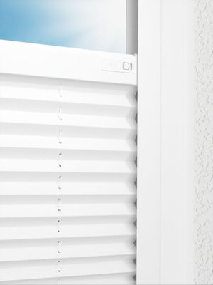 Preview LYSEL HOME Plissee 209BOliv Krepp Pearl 2