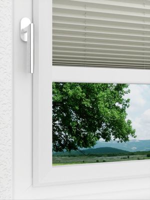 Preview LYSEL HOME Plissee 212B Oliv Krepp Pearl 3