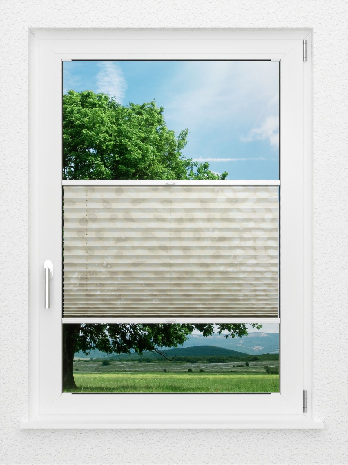 Detailansicht Eden 4.503.79