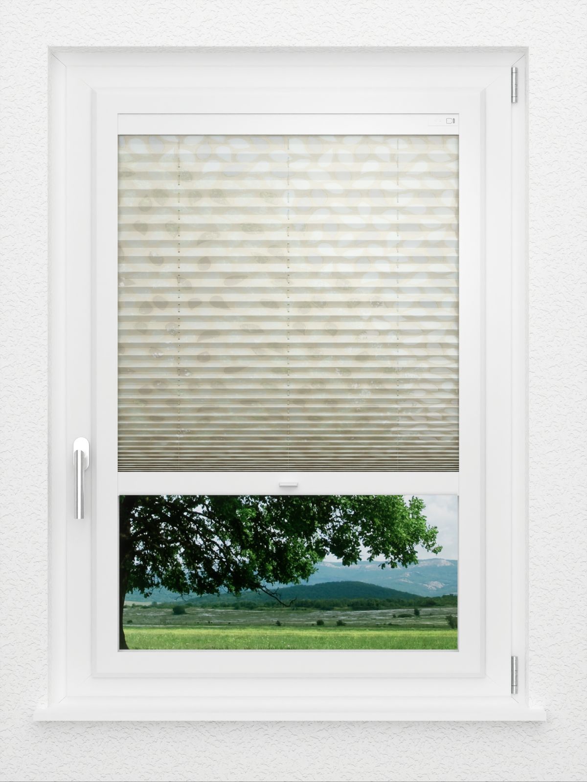 Detailansicht Eden 4.503.79