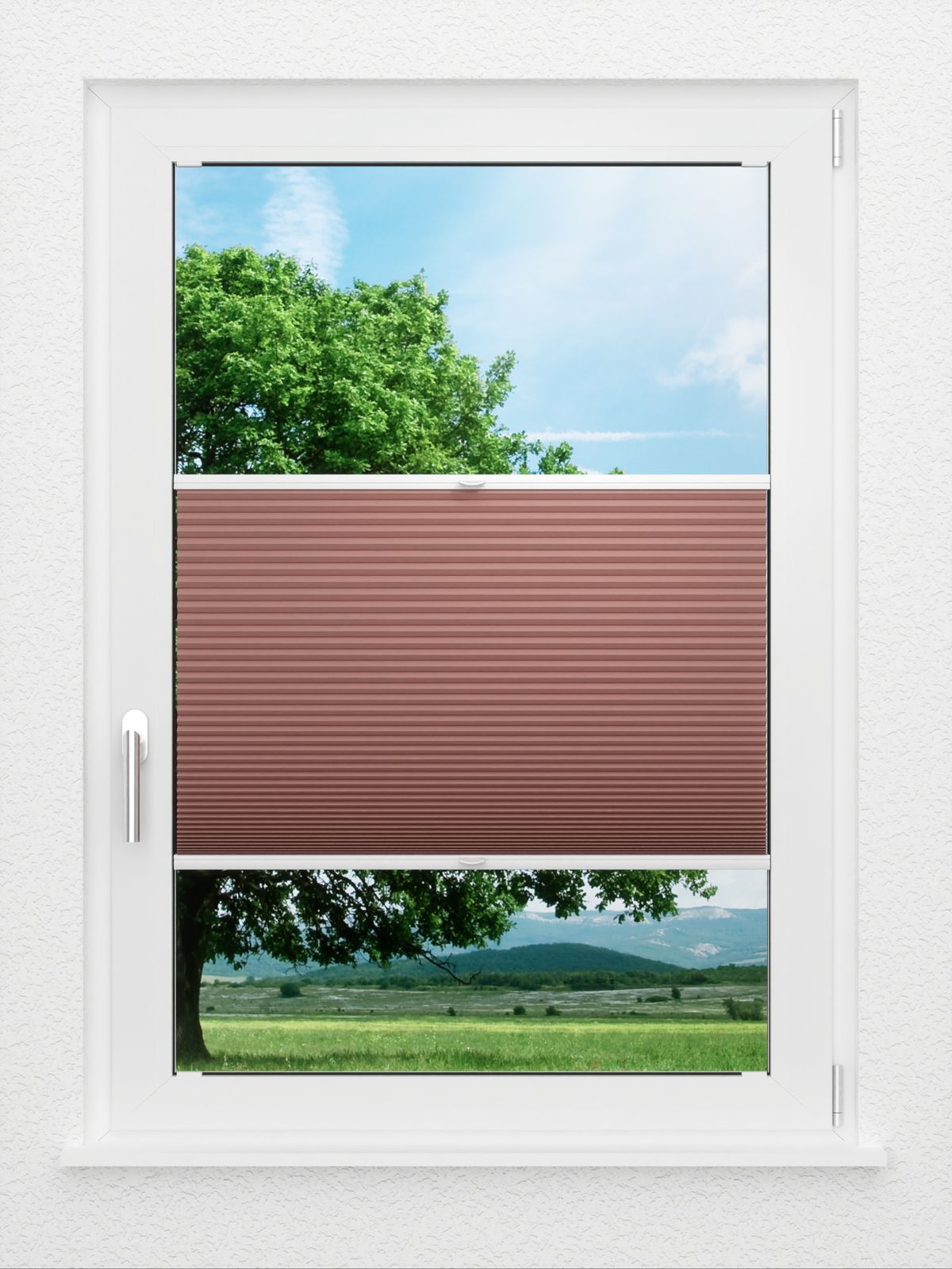 Detailansicht LYSEL HOME Wabe 339A Fionas