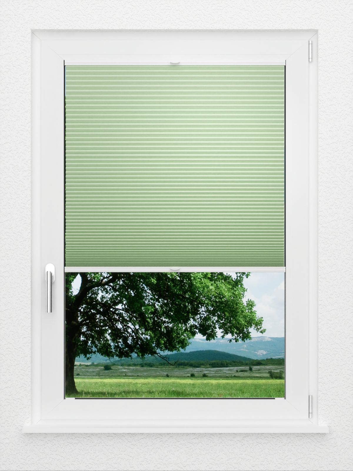 Detailansicht LYSEL HOME Wabe 331A Fionas