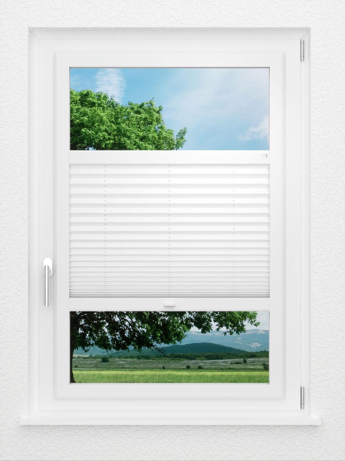 Detailansicht LYSEL HOME Plissee 103B Oliv Krepp BO