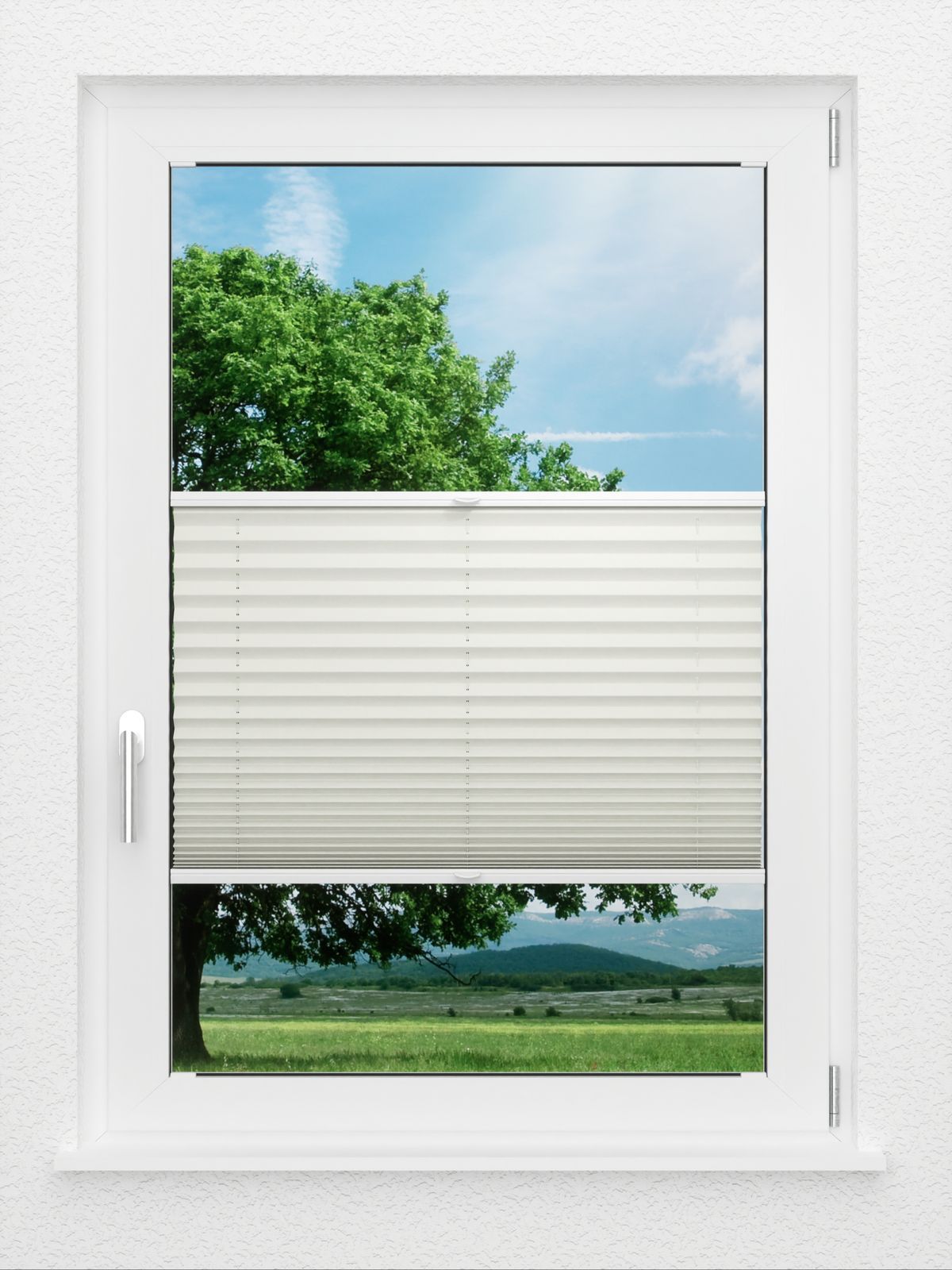 Detailansicht LYSEL HOME Plissee 219B Oliv Krepp BO