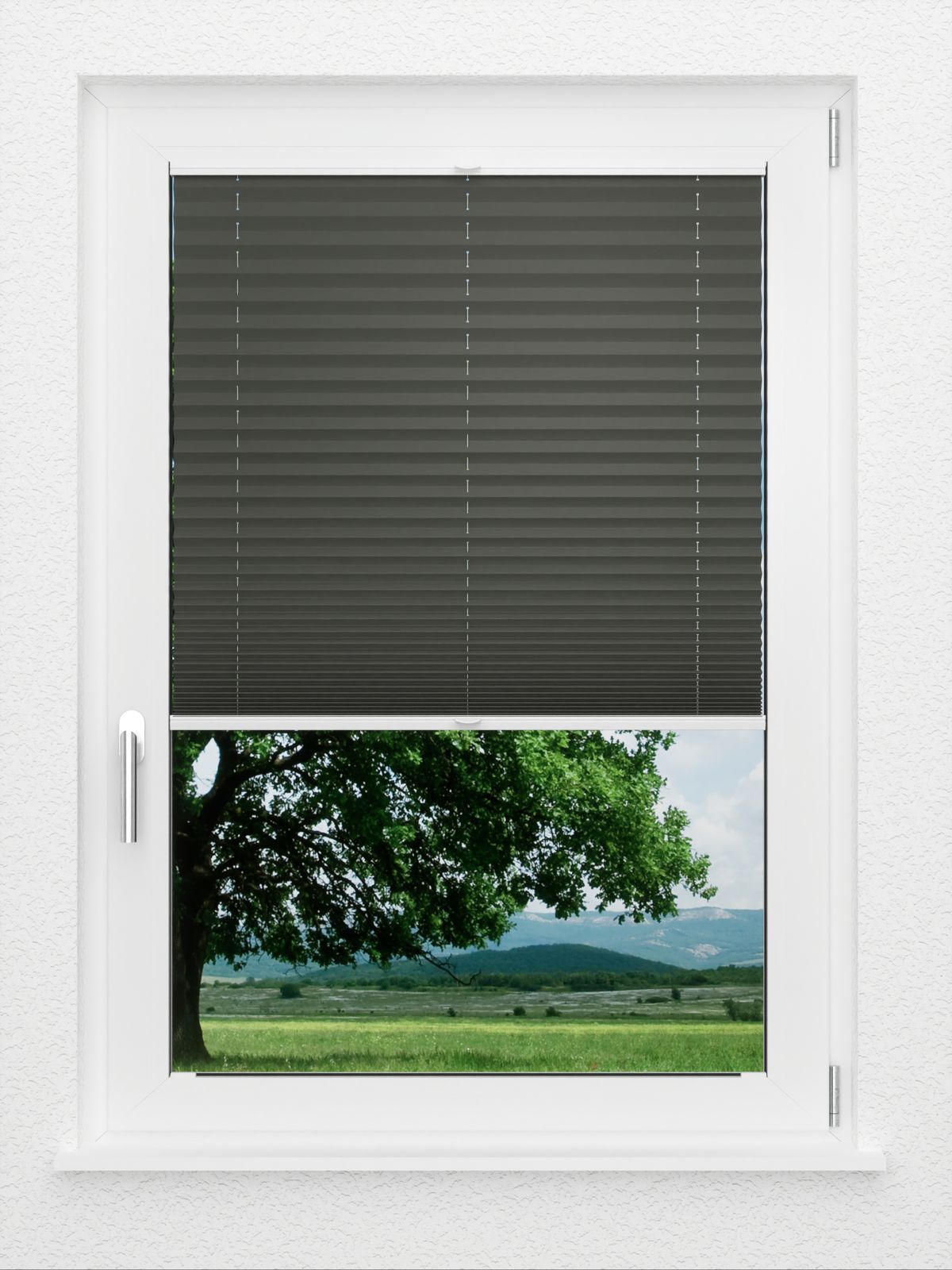Detailansicht LYSEL HOME Plissee 202B Oliv Krepp BO