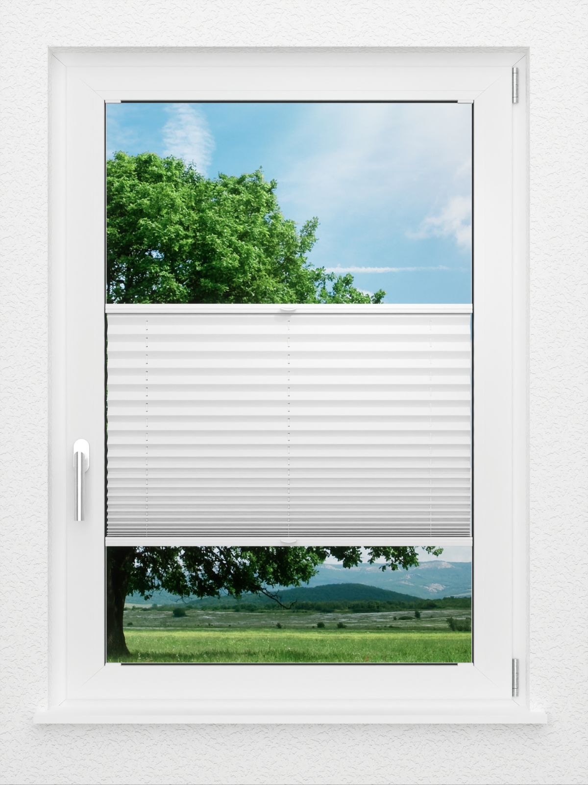 Detailansicht LYSEL HOME Plissee 209BOliv Krepp Pearl