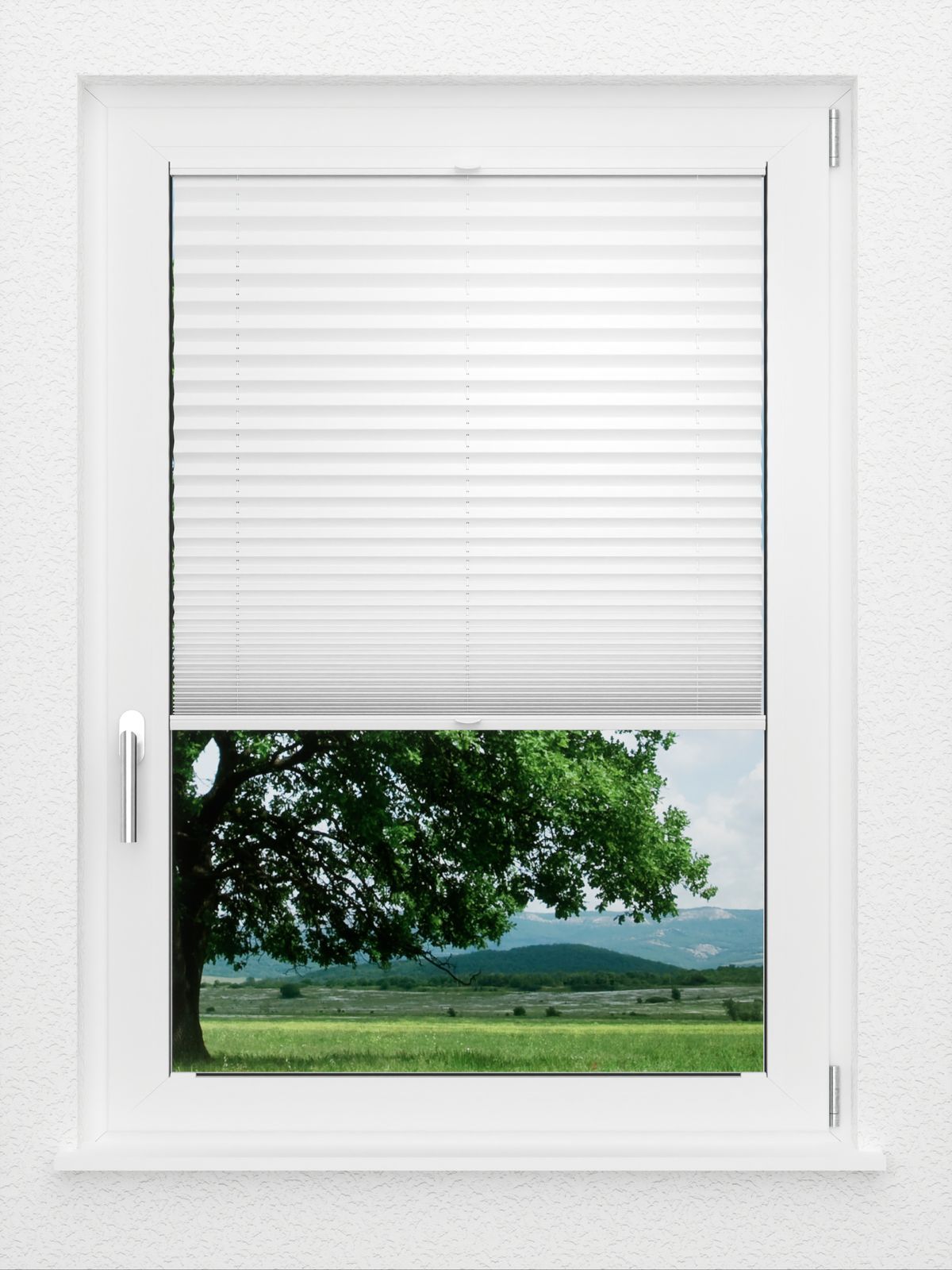 Detailansicht LYSEL HOME Plissee 209BOliv Krepp Pearl