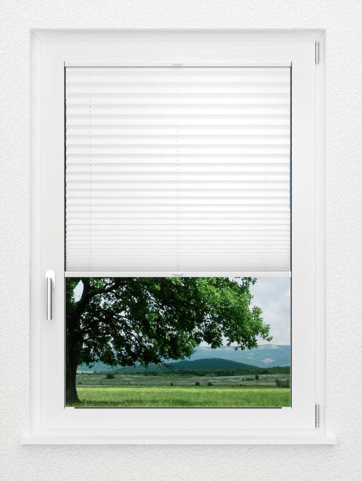 Detailansicht LYSEL HOME Plissee 205B Oliv Krepp